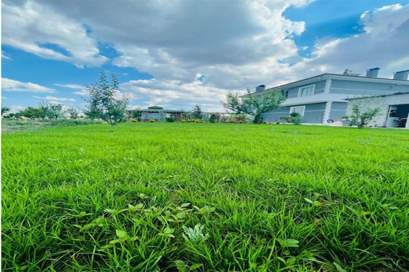 Farm for sale in Konya