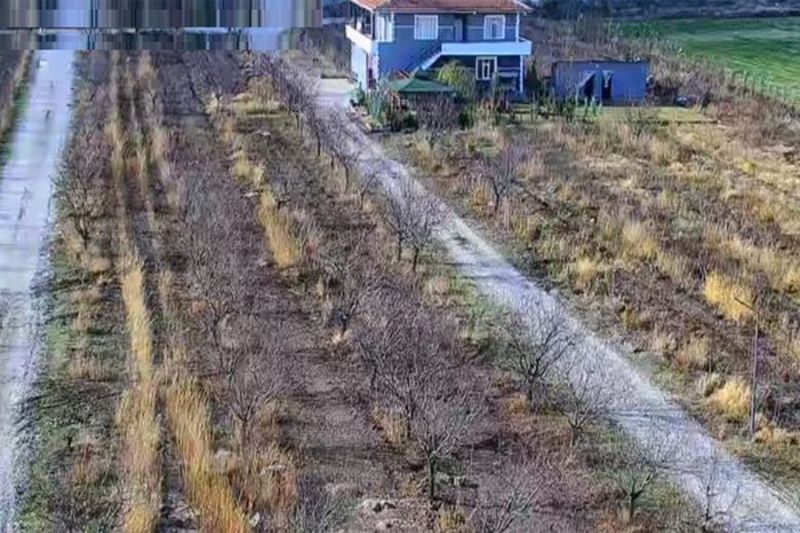 Farm for sale in Konya